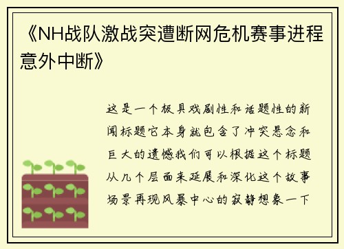 《NH战队激战突遭断网危机赛事进程意外中断》