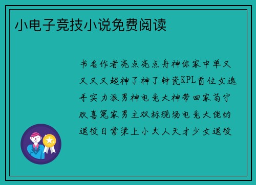 小电子竞技小说免费阅读